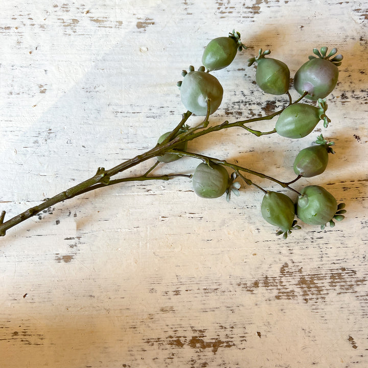 Poppy Pod Branch