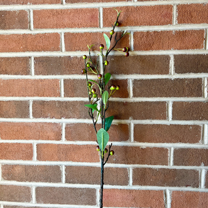 Hypericum Berry Spray
