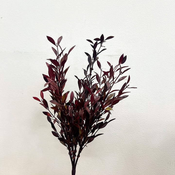 Willow Leaf Spray - Plum