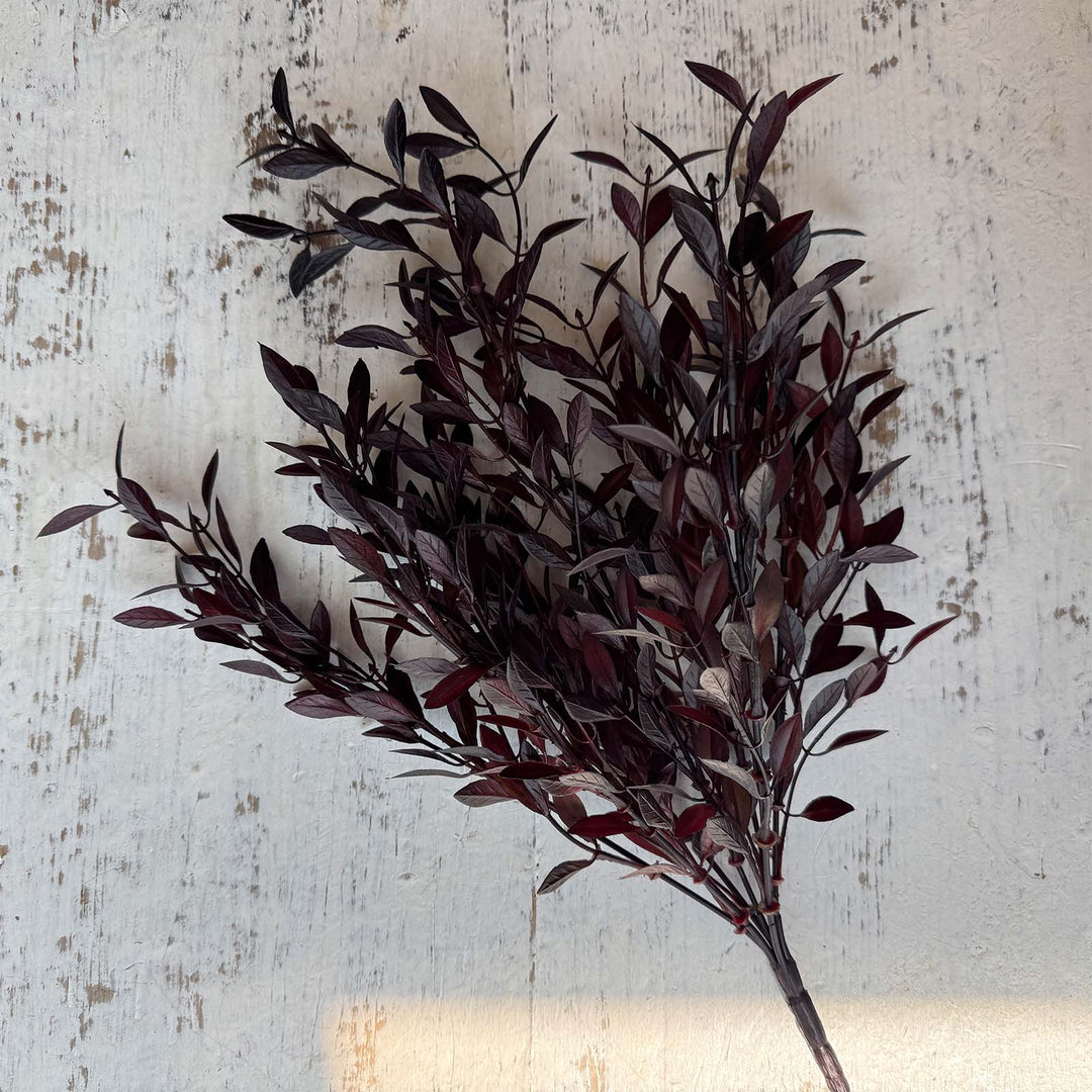 Willow Leaf Spray - Plum