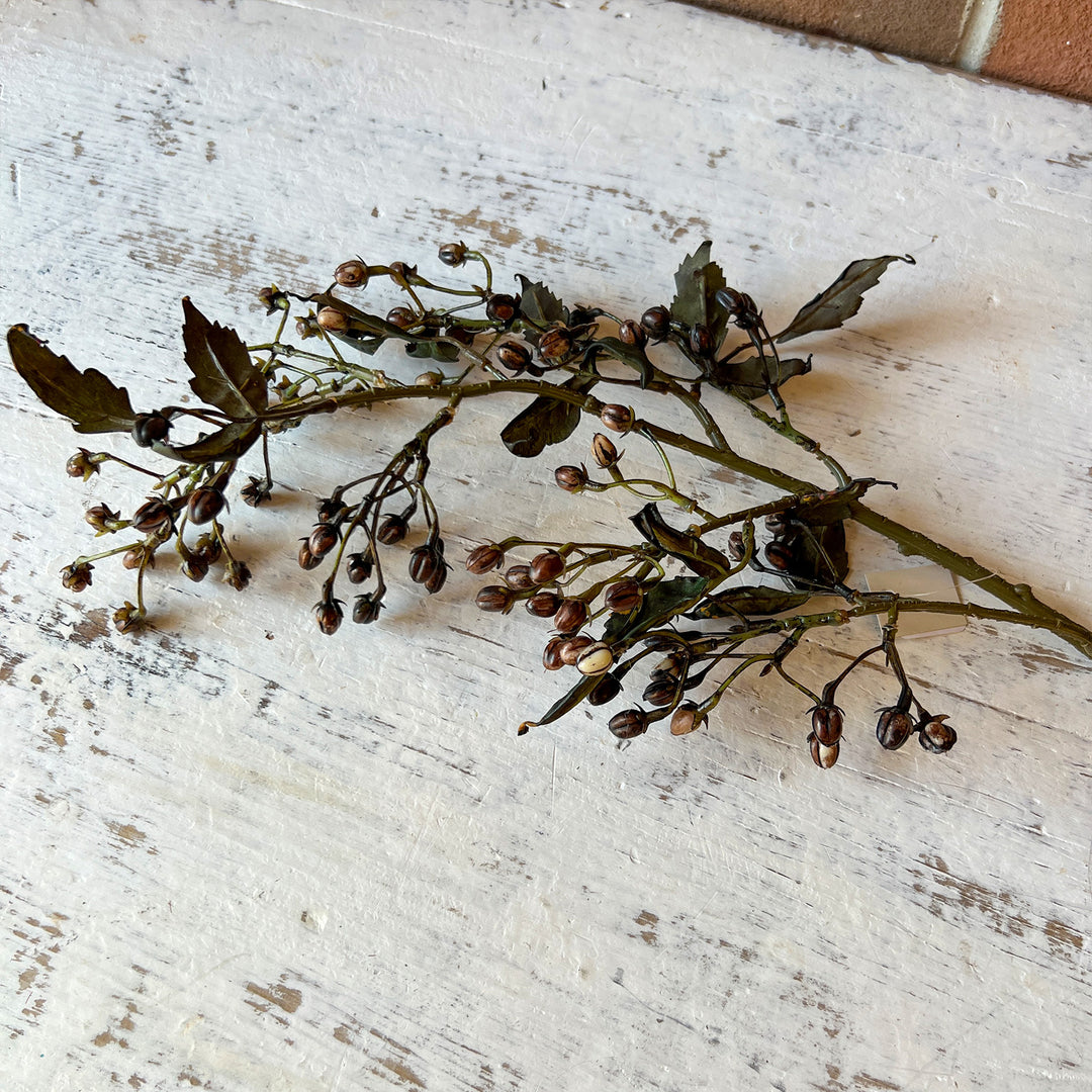 Hipericum Spray
