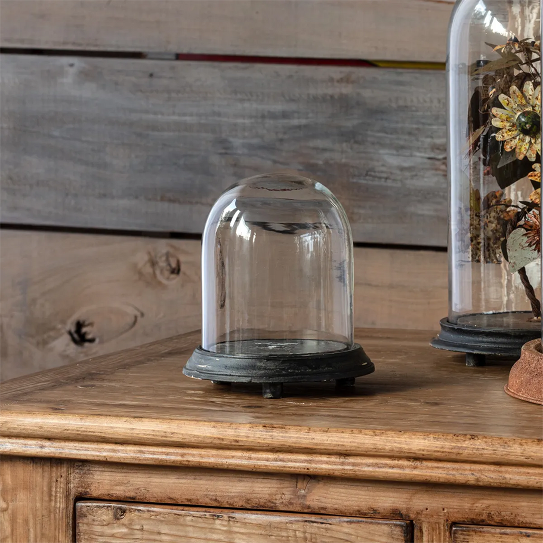 Glass Dome w/ Base