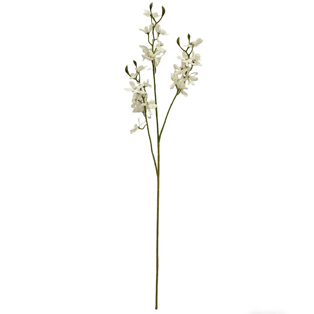 White Orchid