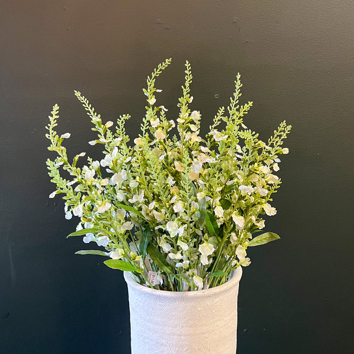 White Salvia Stem