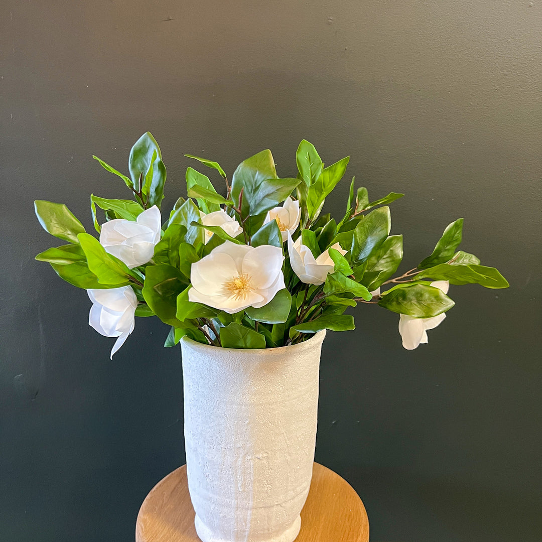 Magnolia Stem