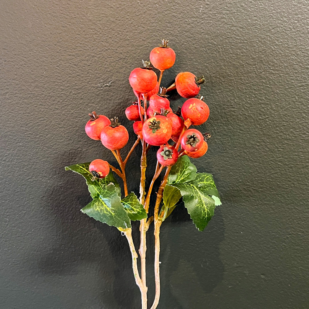 Linden Berry Stem - Orange
