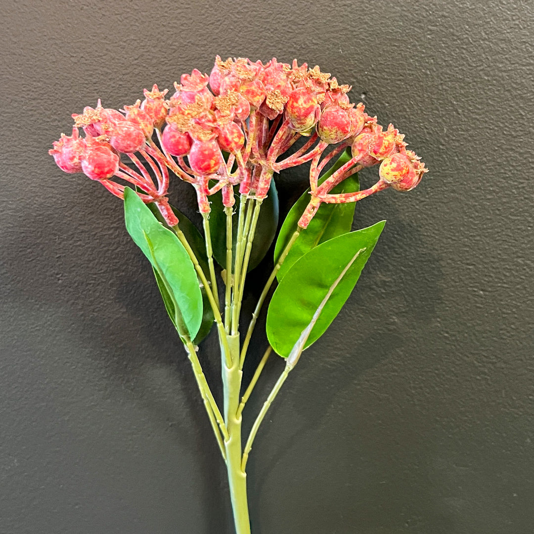 Roseship Stem - Red