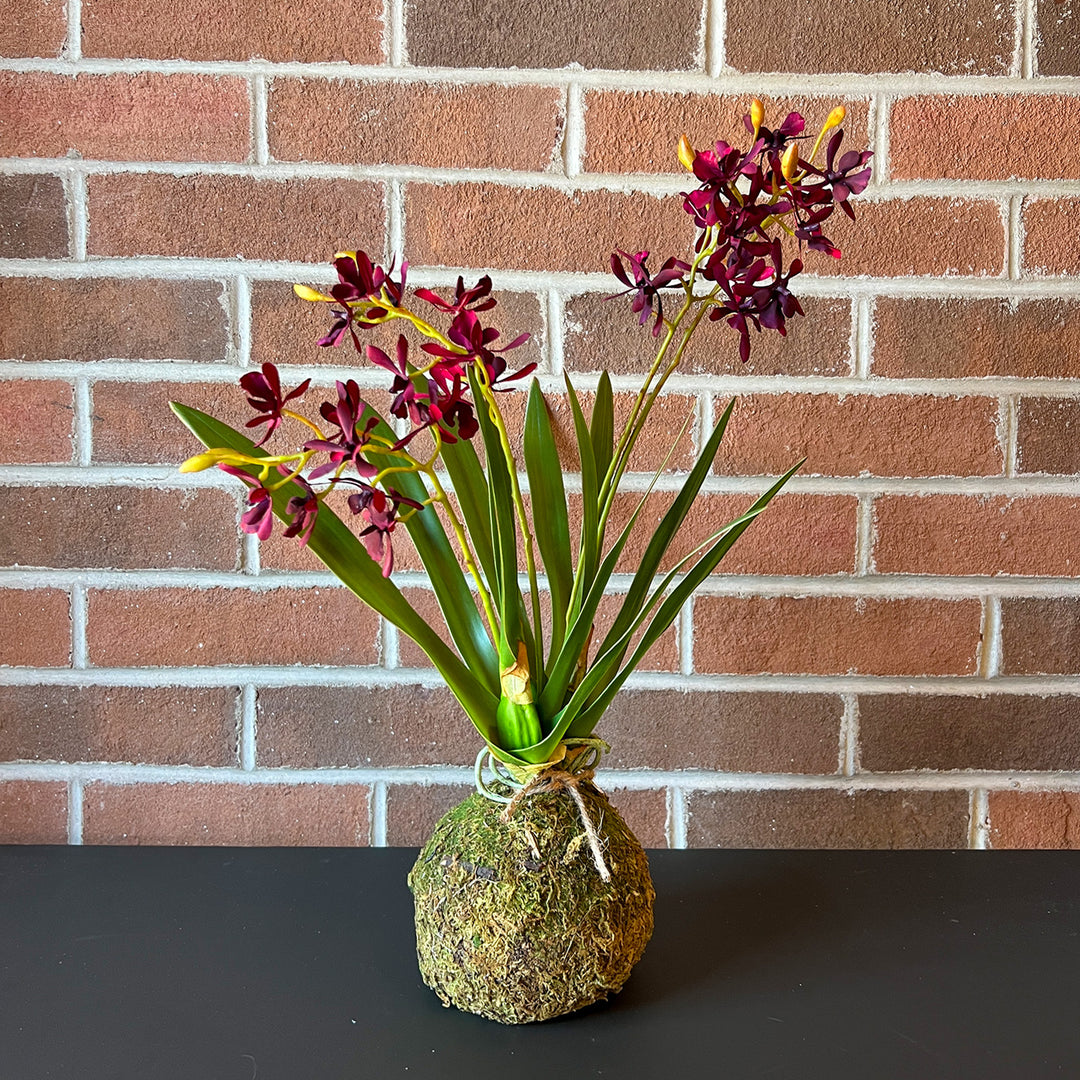 Mini Orchid - Maroon
