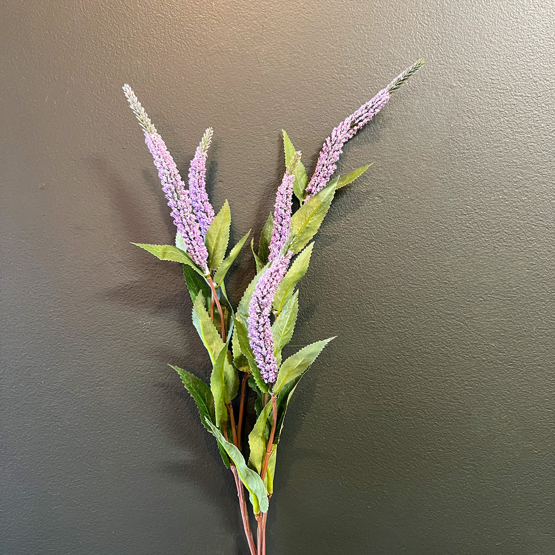 Veronica - Lavender