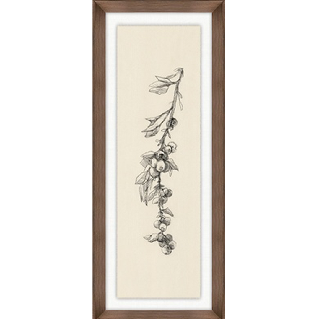 Fruiting Florals I
