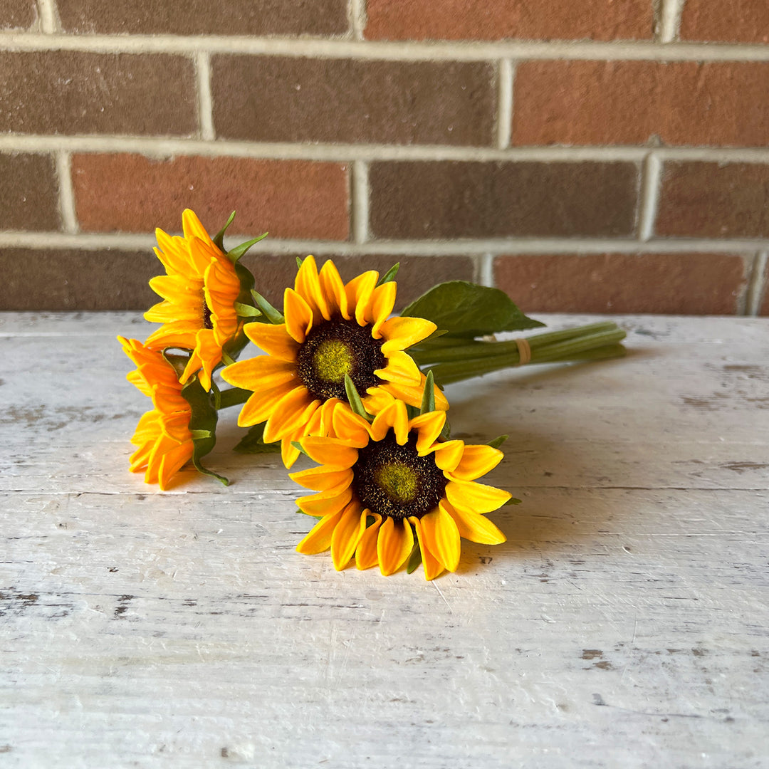 Sunflower Bundle