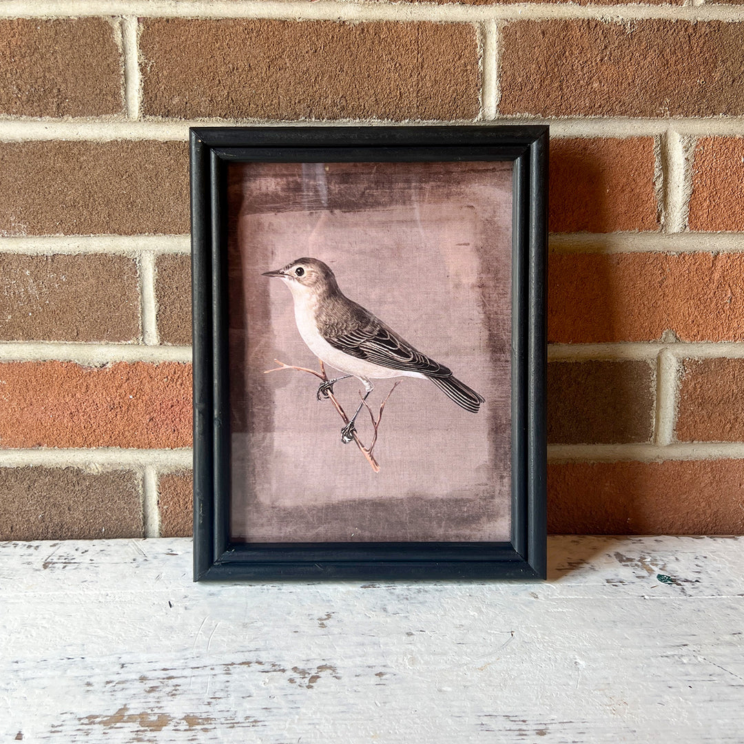 Bird on Branch