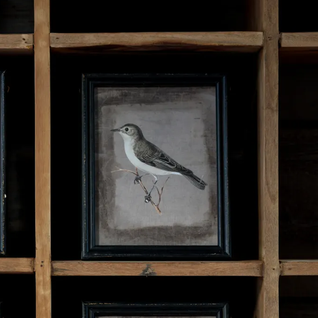 Bird on Branch