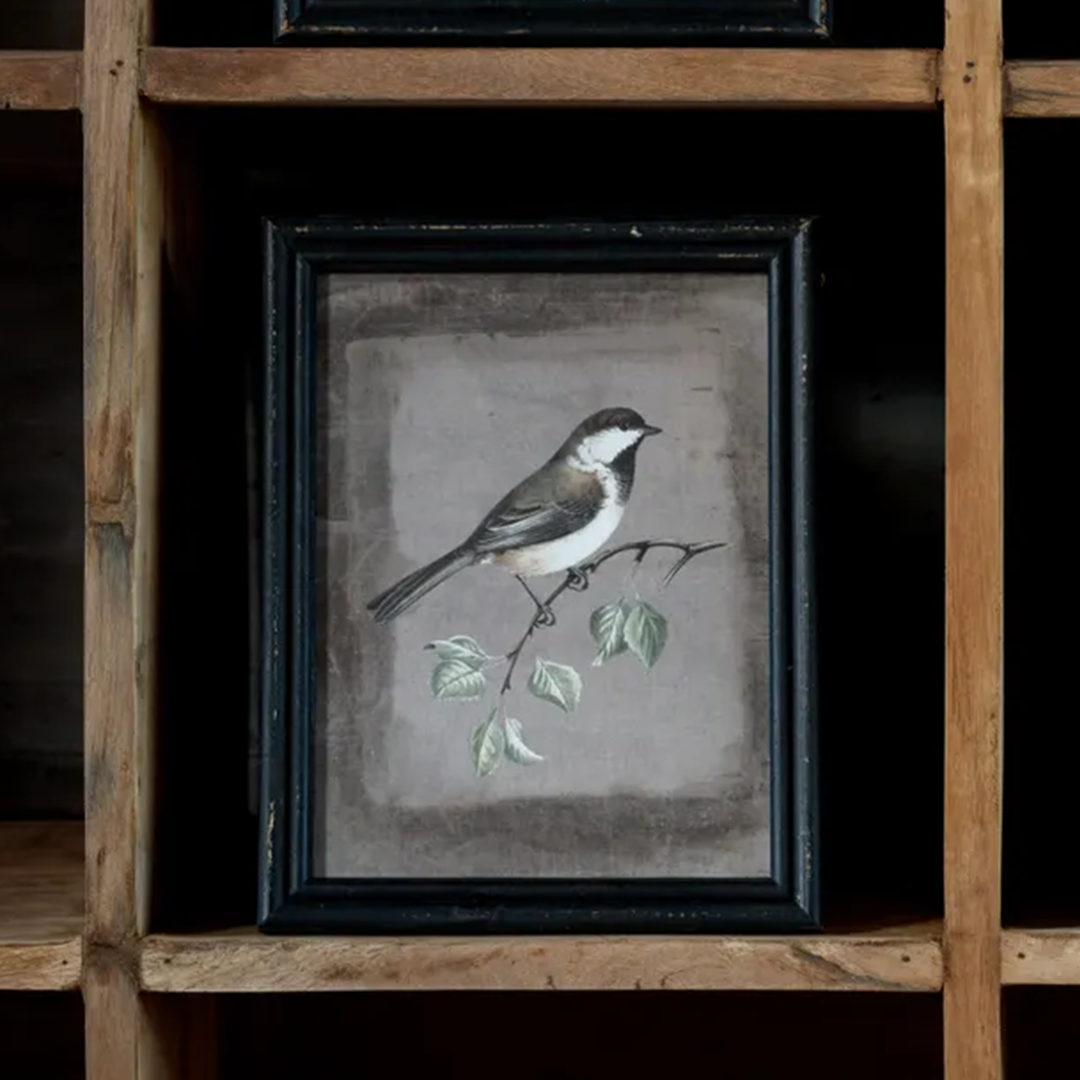 Bird on Leaves
