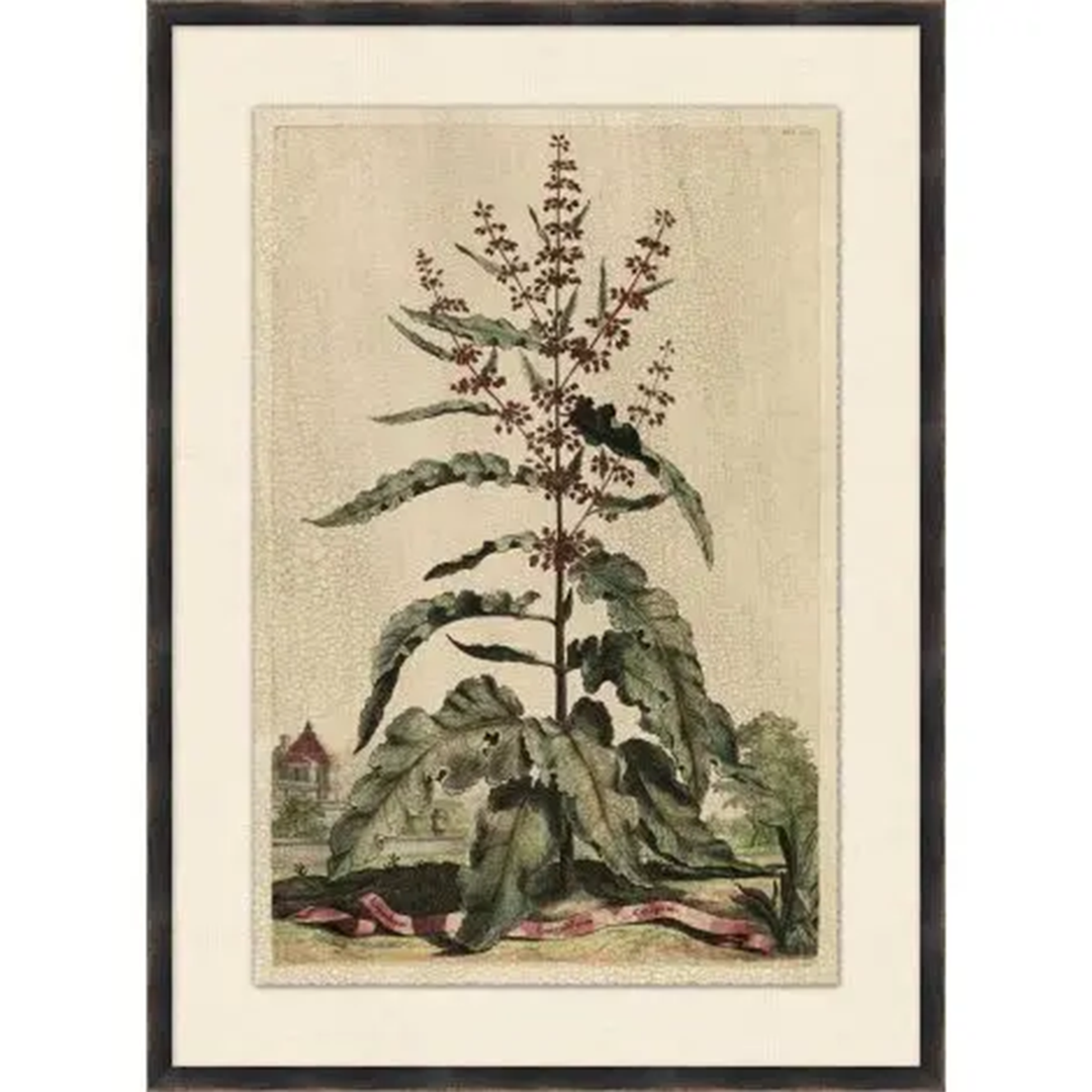 Of Leaf and Line 2