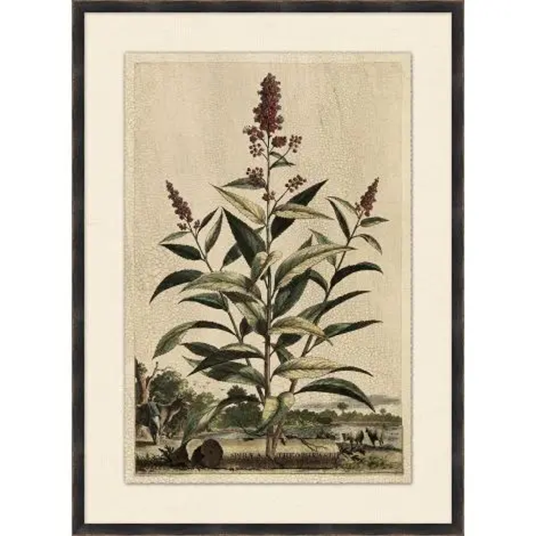 Of Leaf and Line 1