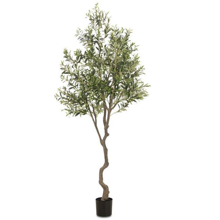 Small Faux Olive Tree