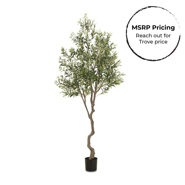 Small Faux Olive Tree
