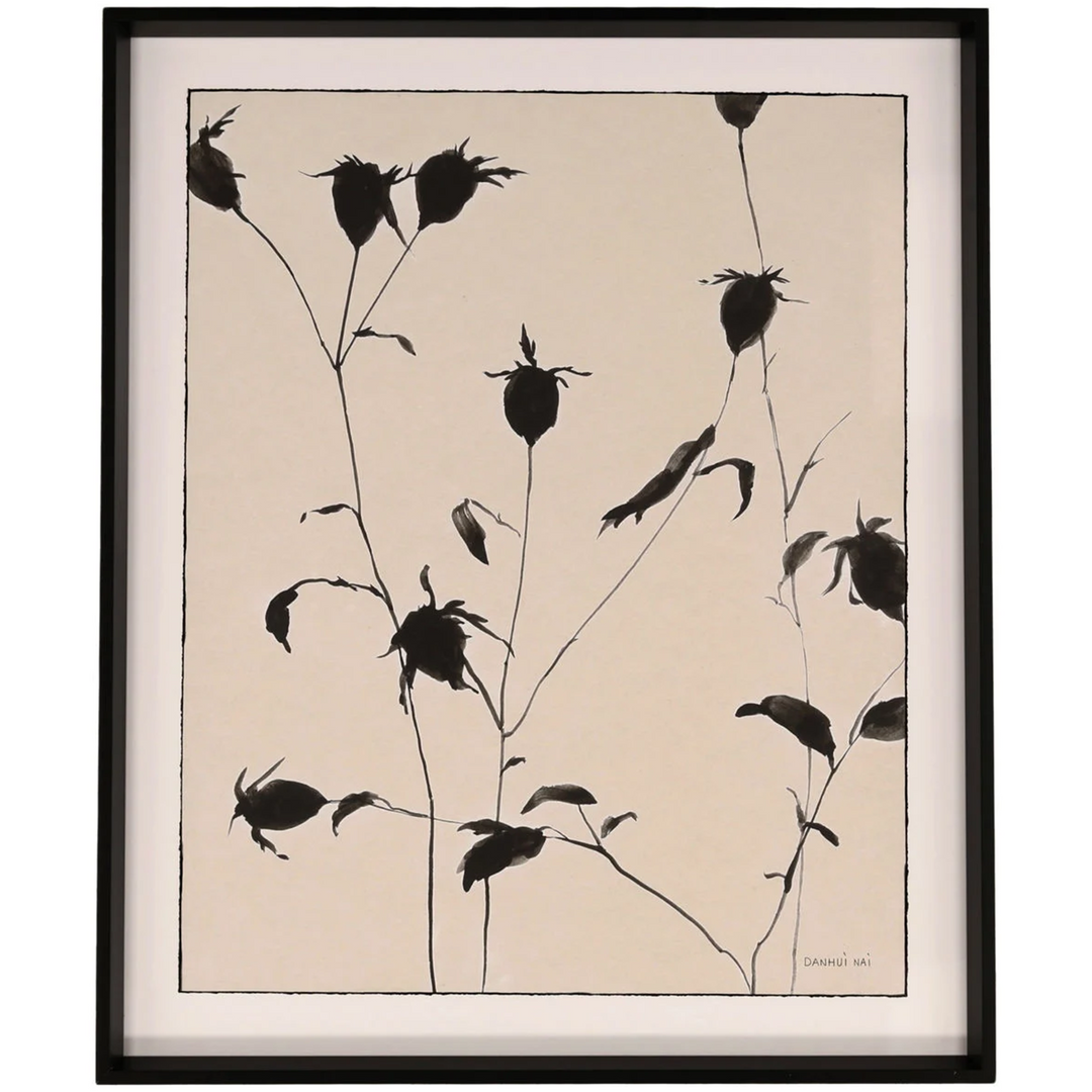 Botanical Shadows II