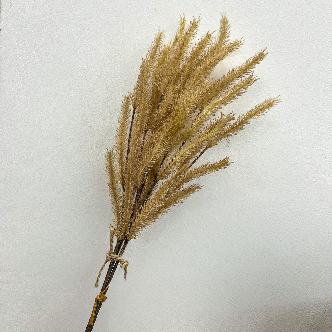 Cattail Spray - Fawn