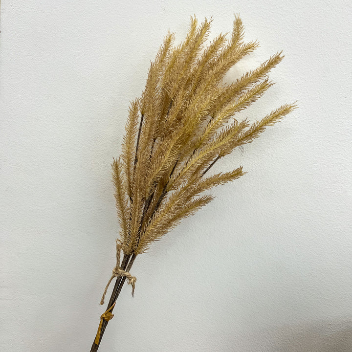 Cattail Spray - Fawn
