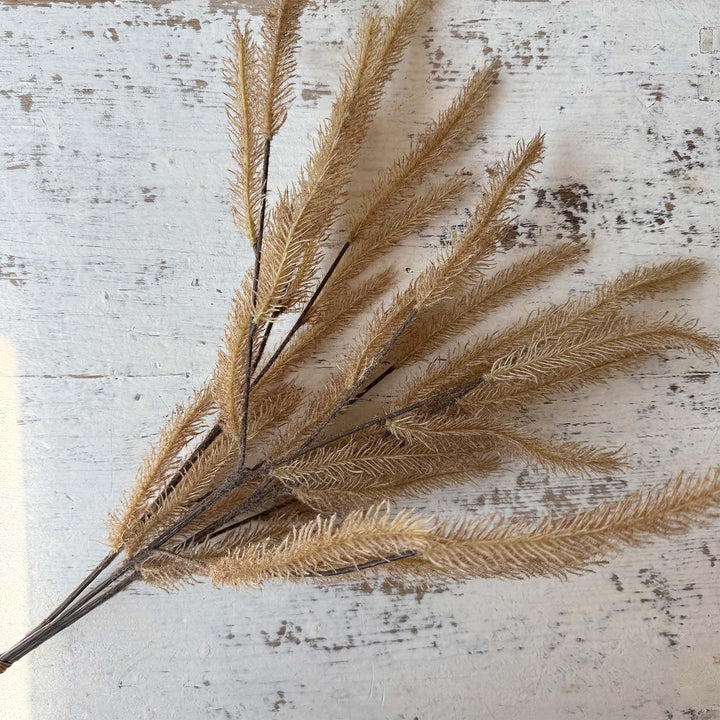 Cattail Spray - Fawn