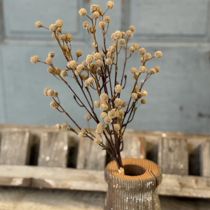 Seed Bundle - Fawn