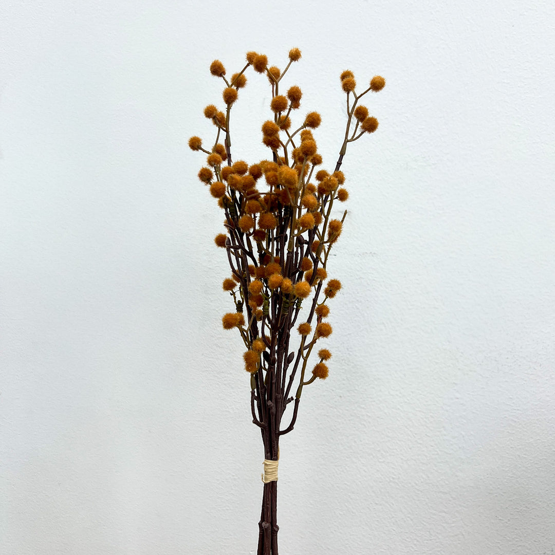 Seed Bundle - Chestnut