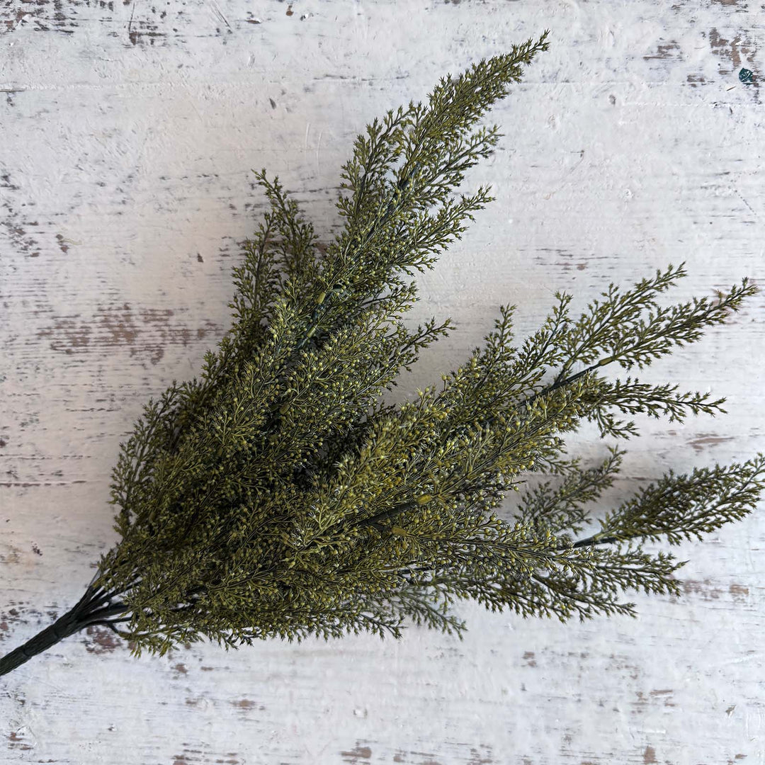 Wheat Bush - Moss