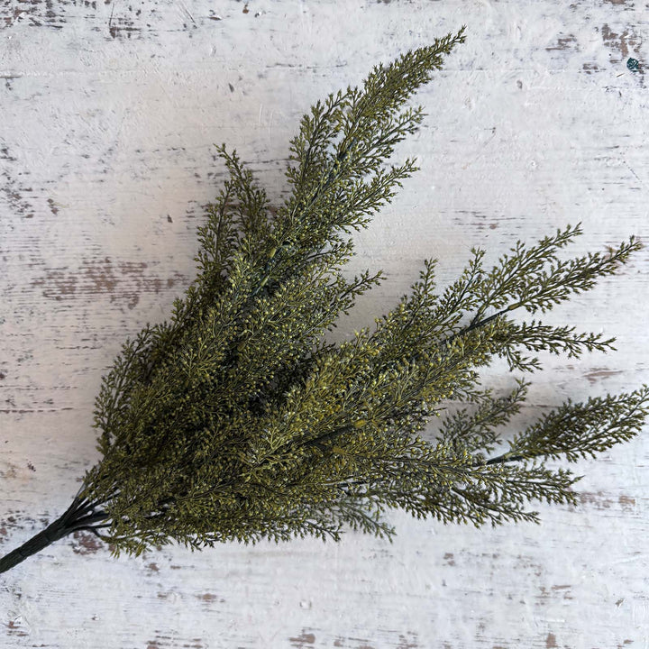 Wheat Bush - Moss