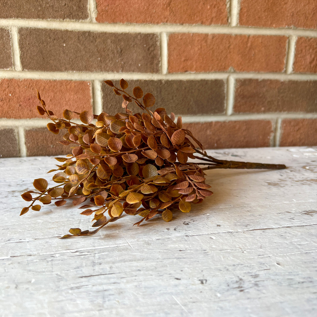 Cider Leaves Bush