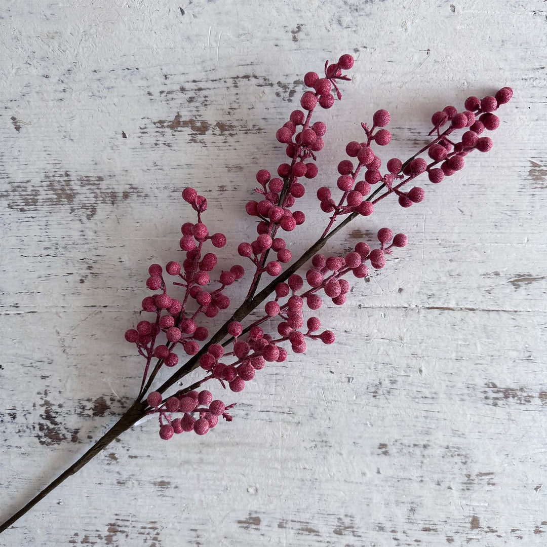 Fizzy Berry Spray