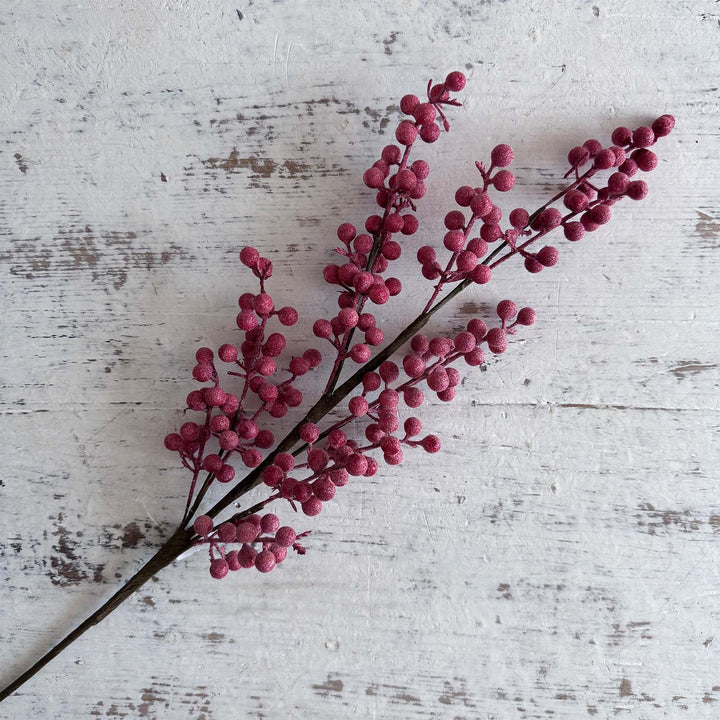 Fizzy Berry Spray
