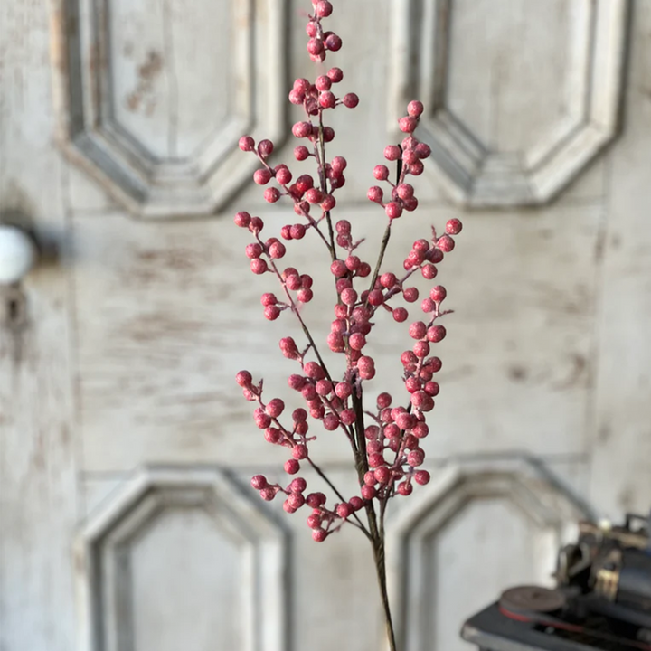 Fizzy Berry Spray