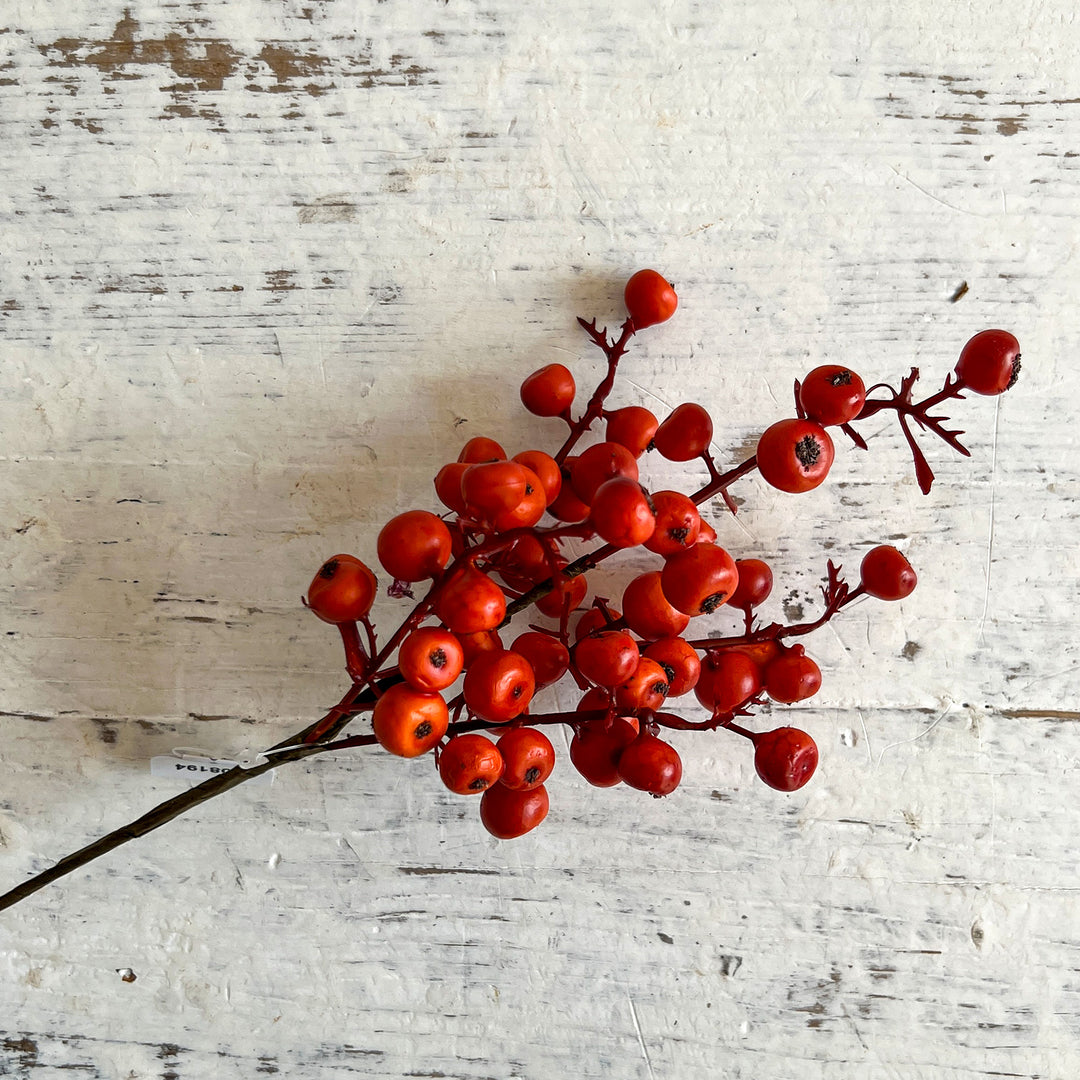 Emberfruit Pick