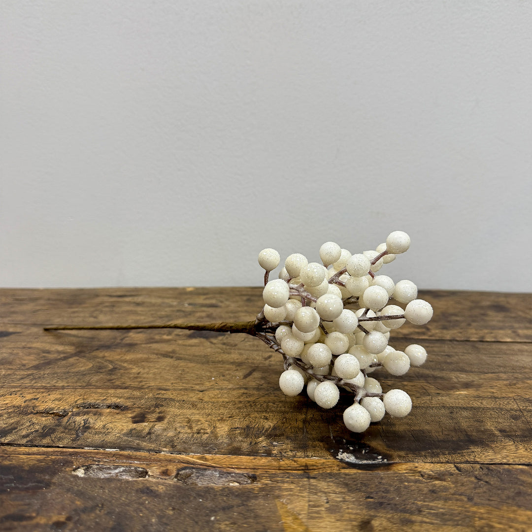 Snowdrop Berry Pick