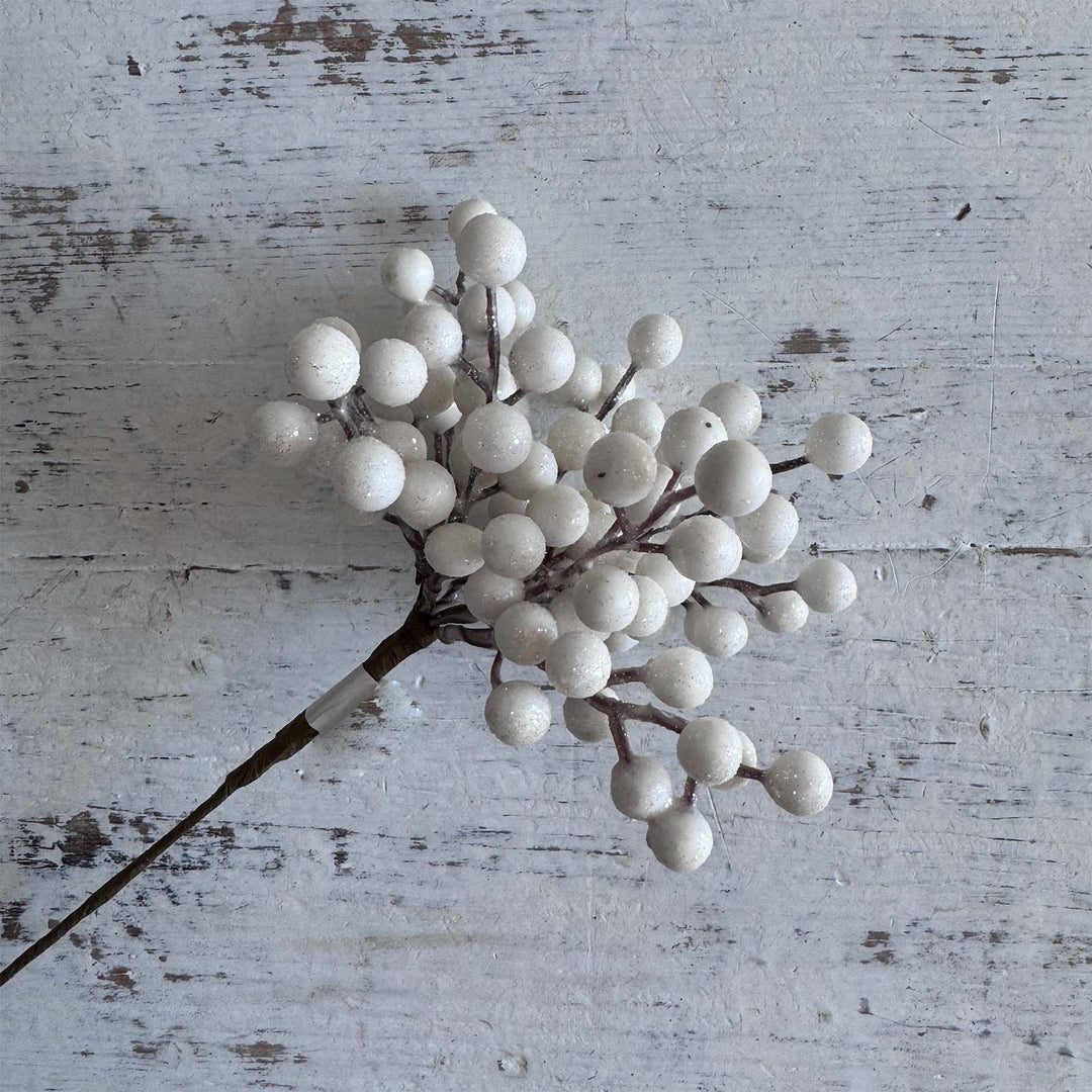 Snowdrop Berry Pick