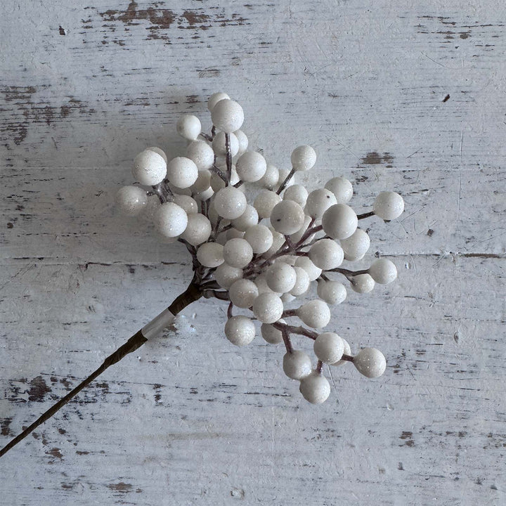 Snowdrop Berry Pick