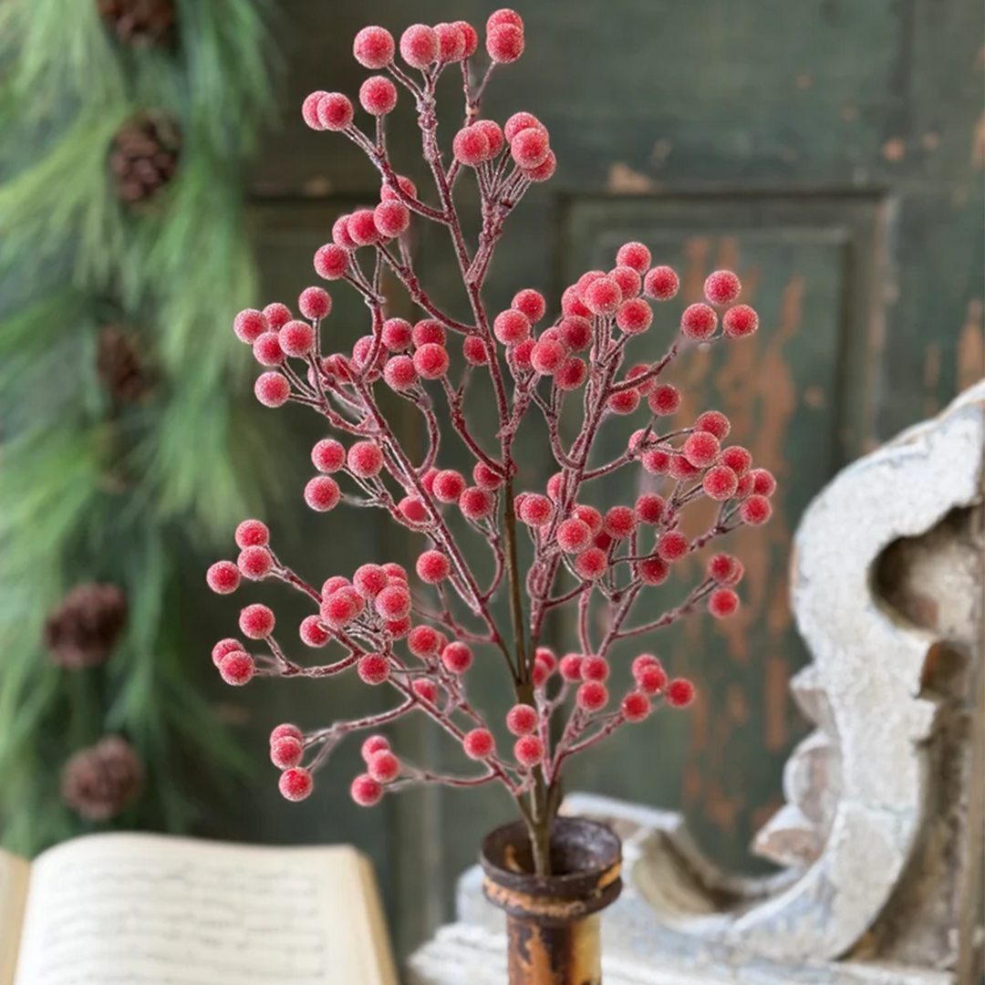 Brilliant Berry Bush