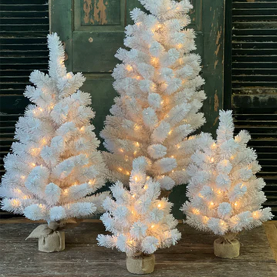 Tree w/ Lights