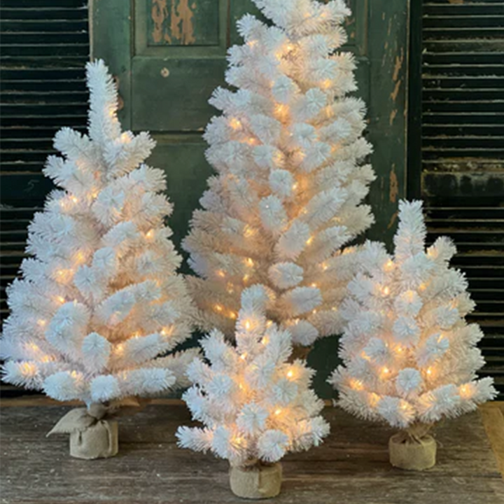 Tree w/ Lights