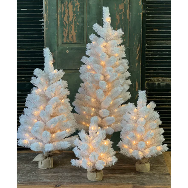 Tree w/ Lights