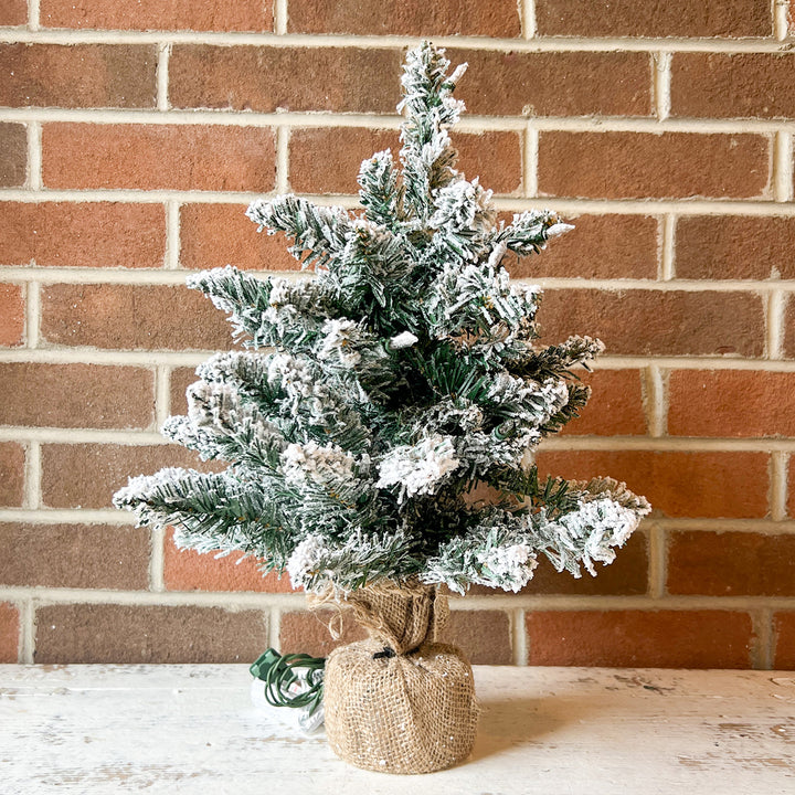Whisper Tree