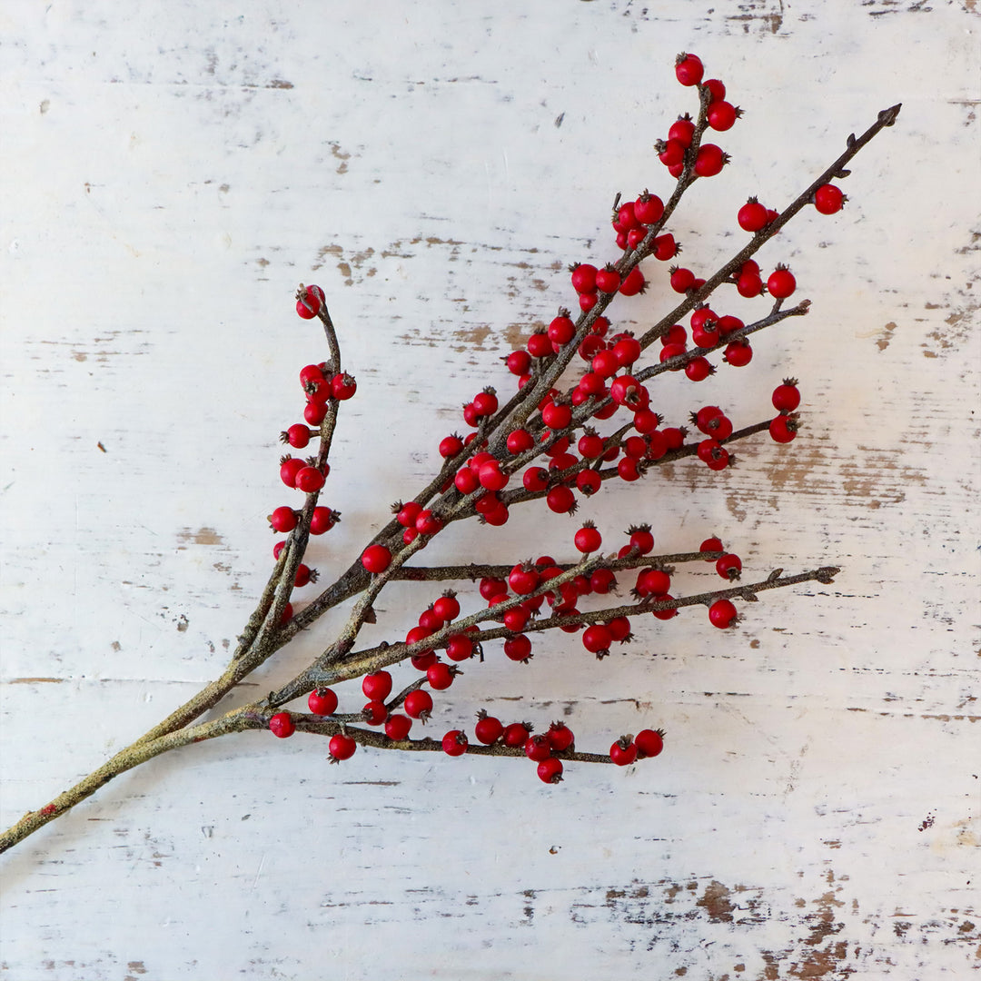 Clipper Berry Spray
