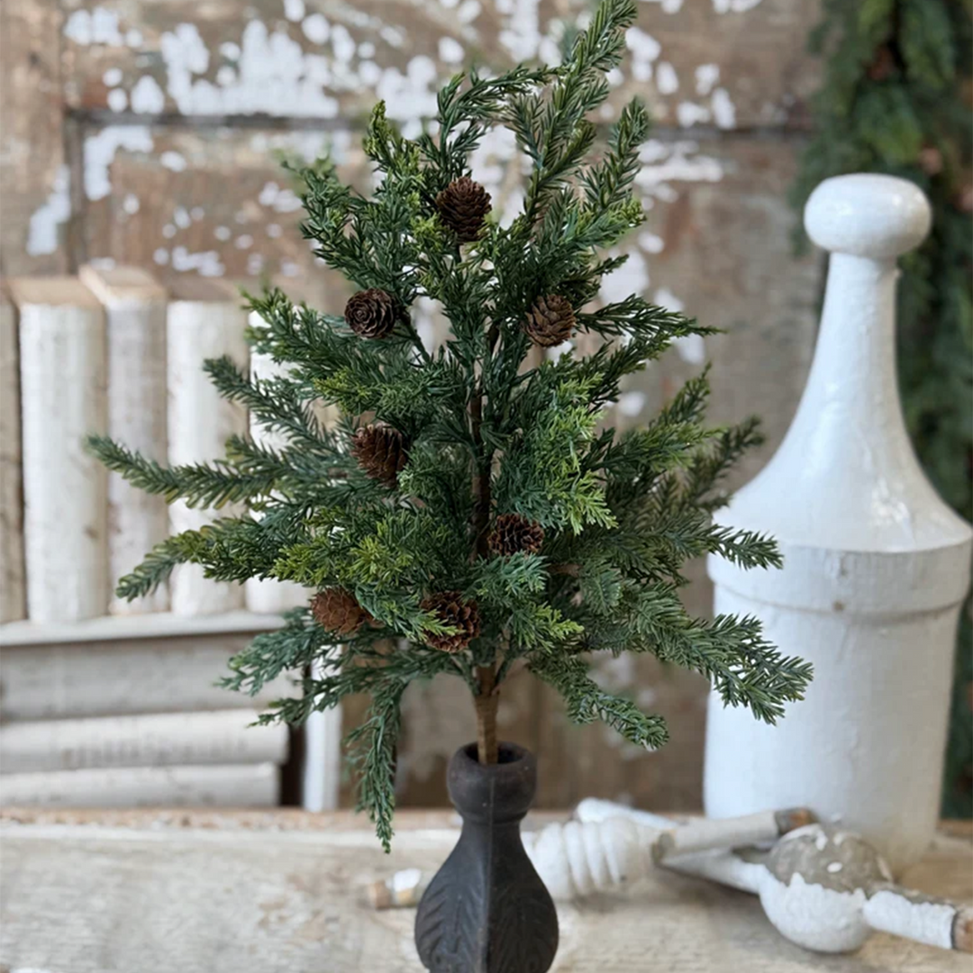 Juniper Bush