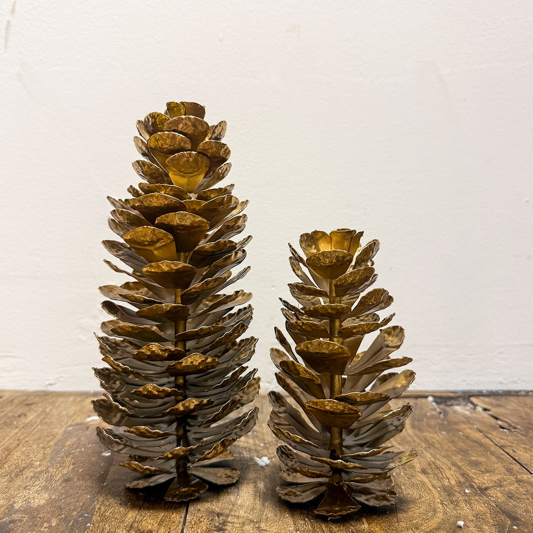 Epaulette Pinecone