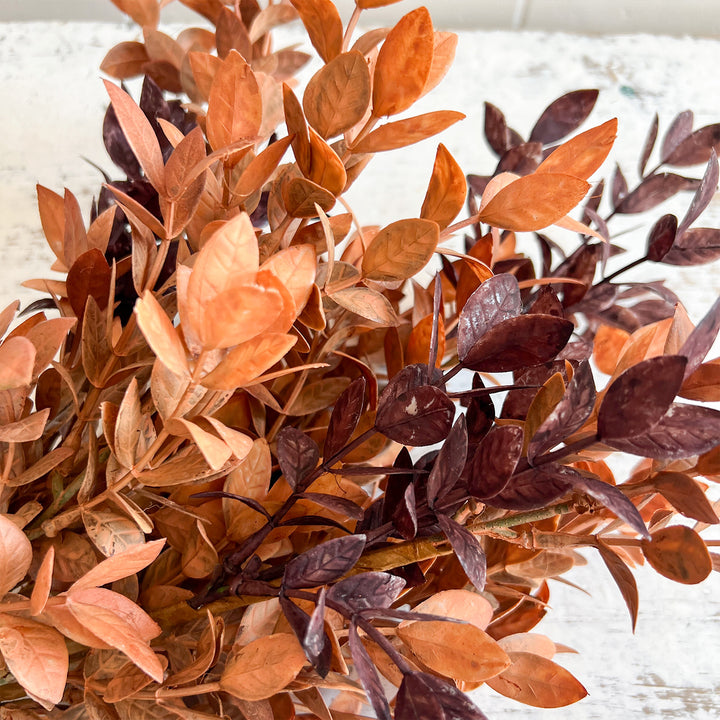Ombre Woods Bush