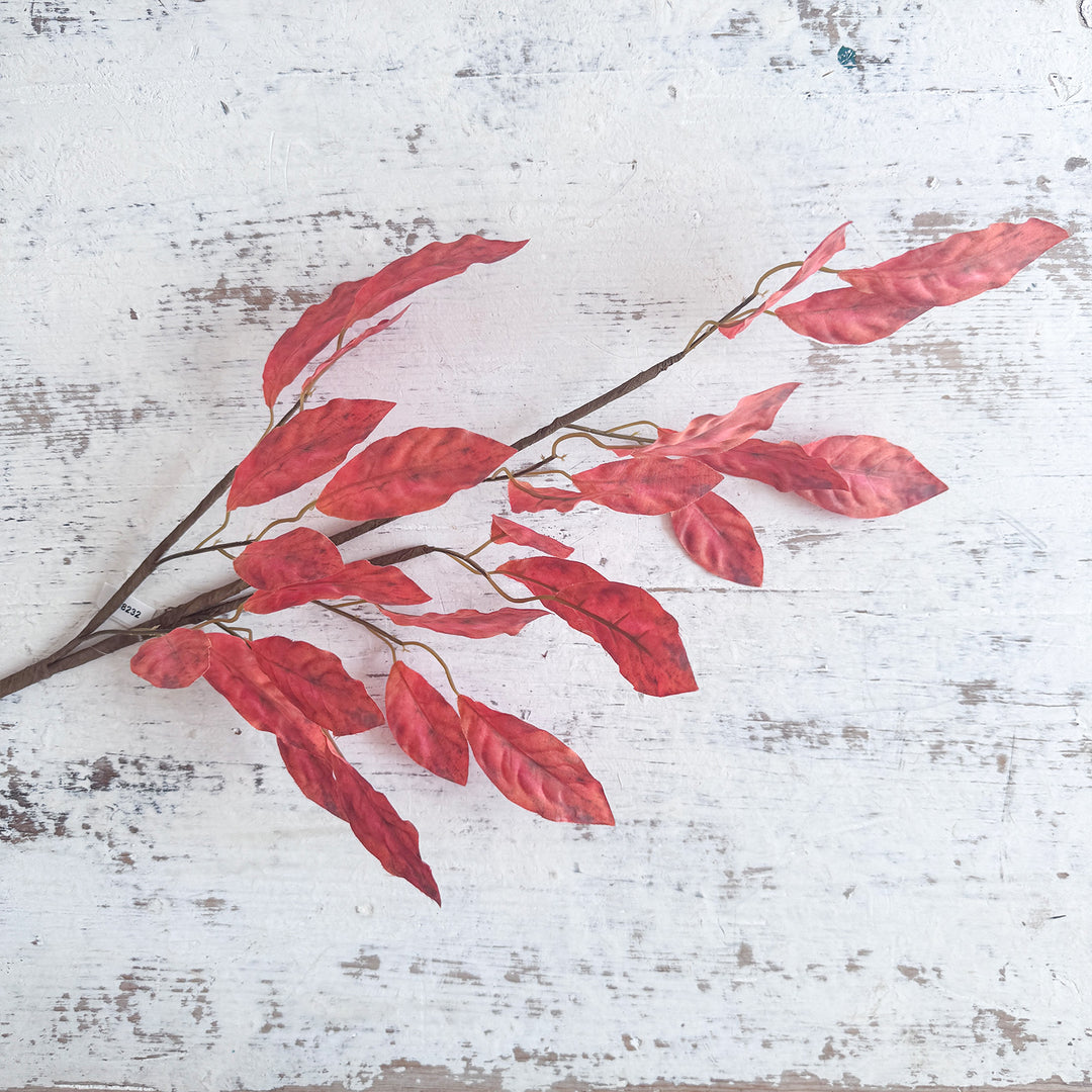 Leaves - Rust
