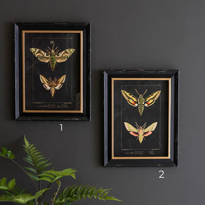 Moth Print