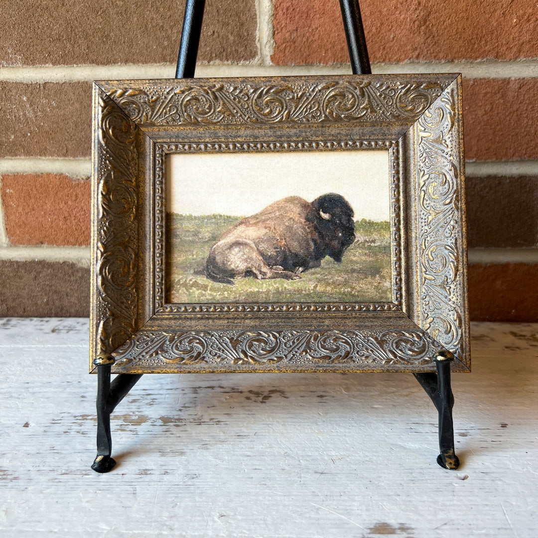 Resting Bison